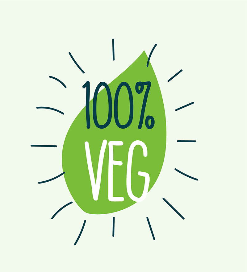 Proteinas para veganos 100% vegan